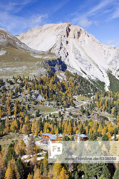Im Naturpark Fanes - Sennes im Hochpustertal oberhalb von Pederü  Dolomiten  hinten die Eisgabelspitz und die Faneshütte  Südtirol  Italien  Europa
