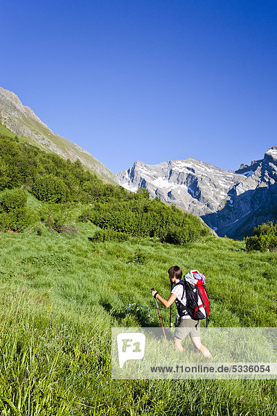 Mountain climber passing through Pfitschertal Valley while ascending Hochfeiler Mountain  Alto Adige  Italy  Europe