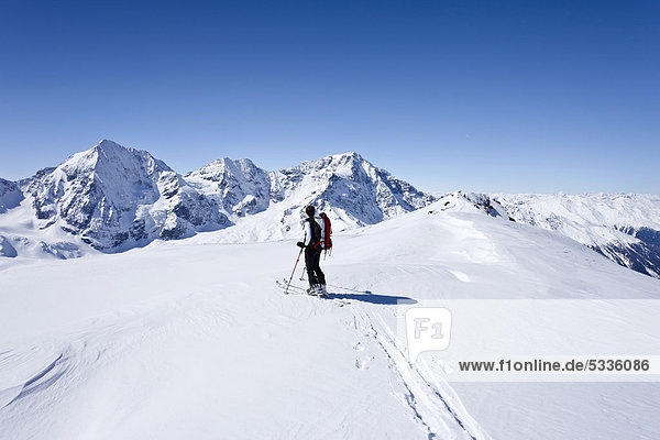 Skitourengeher beim Aufstieg zur hinteren Schöntaufspitze  hinten die Königsspitze  der Ortler und der Zebru  Sulden im Winter  Südtirol  Italien  Europa