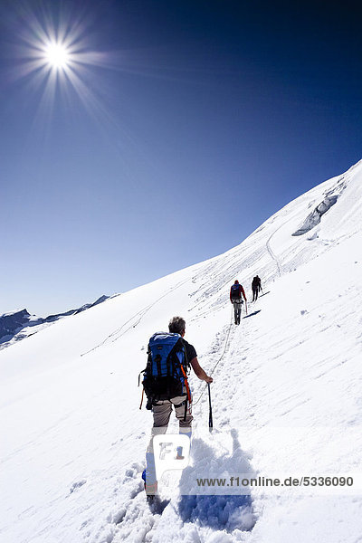 Bergsteiger beim Aufstieg zum Piz Morteratsch  Schweiz  Europa