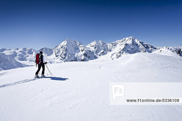 Skitourengeher beim Aufstieg zur hinteren Schöntaufspitze  Sulden  im Winter  hinten die Königsspitze  der Ortler und der Zebru  Südtirol  Italien  Europa
