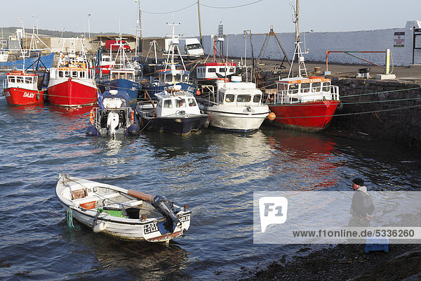 Boats in the fishing port  Skerries  County Fingal  Republic of Ireland  Europe