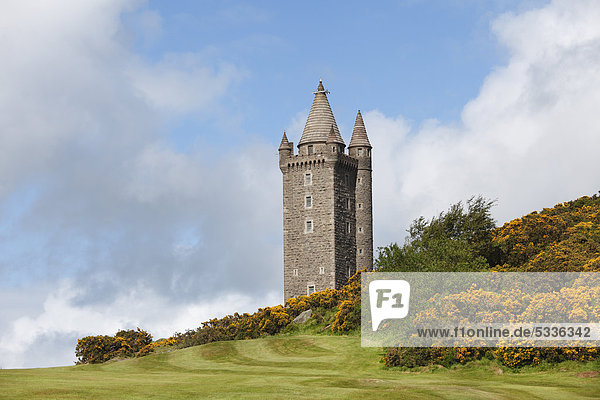 Scrabo Tower  Newtownards  County Down  Nordirland  Irland  Vereinigtes Königreich  Europa