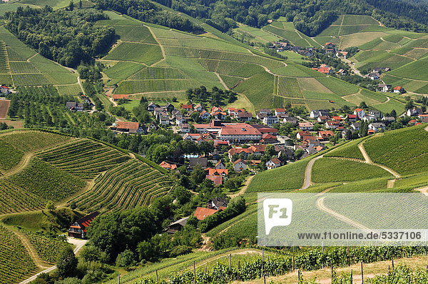 Blick von der Burg Staufenberg auf Durbach und Weinberge Baden-Württemberg Deutschland Europa