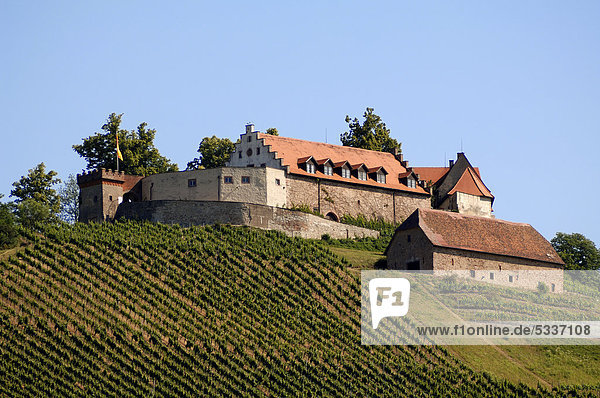 Burg Staufenberg mit Weinbergen  Durbach  Baden-Württemberg  Deutschland  Europa