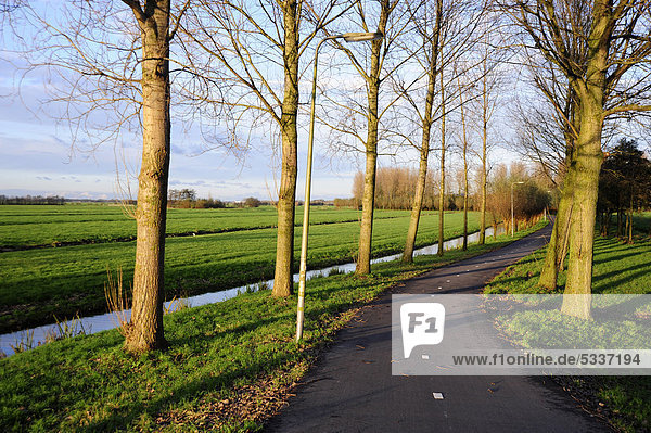 Fahrradweg im Poldergebiet  Landschaft zwischen Gouda und Bodegraven  Reeuwijk  Holland  Niederlande  Europa