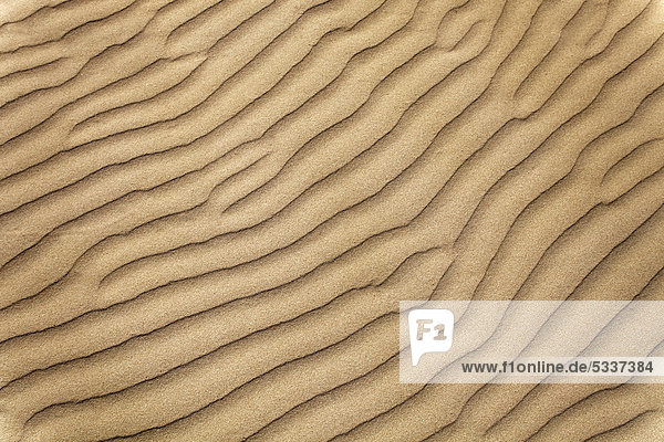 Wüstensand  Struktur  Düne  Salalah  Dhofar  Sultanat von Oman  Golfstaat  Arabische Halbinsel  Naher Osten  Asien