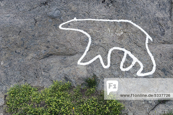 Auf einen Felsen gemalte Umrisse eines Eisbären  grönländisch Nanook  Tasiilaq oder Ammassalik  Ostgrönland  Grönland