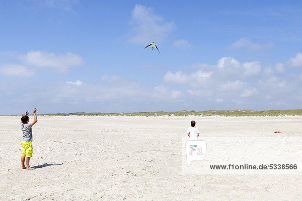 Children flying kites  Kniepsand sandbank  Amrum island  North Friesland  Schleswig-Holstein  Germany  Europe