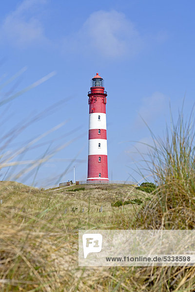 Leuchtturm  Insel Amrum  Nordfriesland  Schleswig-Holstein  Deutschland  Europa  ÖffentlicherGrund