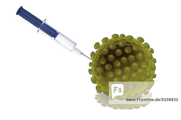 Impfen eines Virus  Scienceart  Illustration