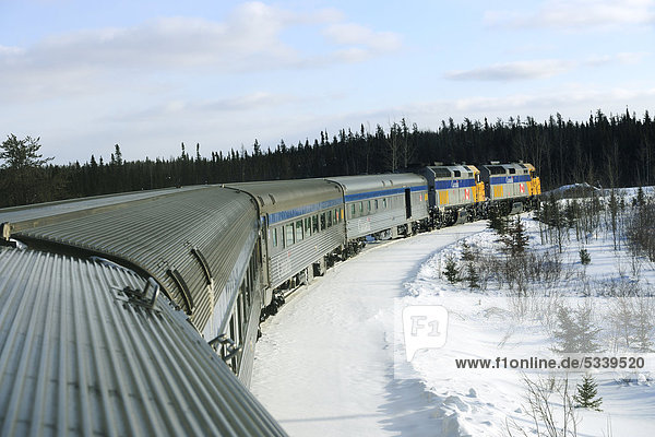 Train moving on the railway line between Winnipeg and Churchill  Manitoba  Canada
