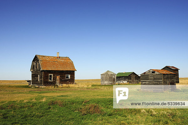 Altes verlassenes Haus mit Stall und Kornsilos in der Prärie  Saskatchewan  Kanada