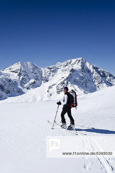 Ski mountaineer climbing Hintere Schoentaufspitze mountain  Sulden in winter  Zebru mountain and Ortler mountain at the back  province of Bolzano-Bozen  Italy  Europe