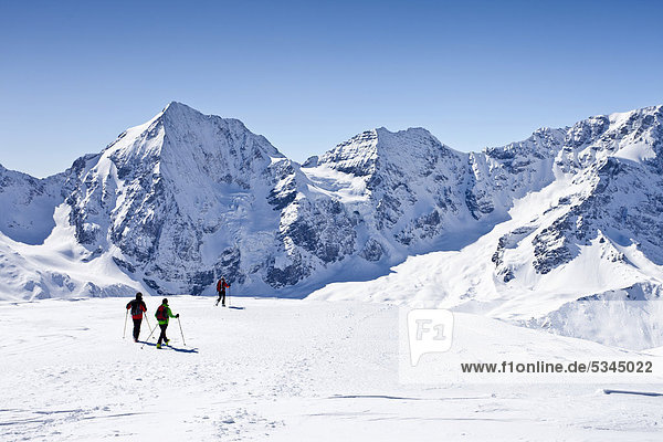 Ski mountaineers descending from Hintere Schoentaufspitze mountain  Sulden in winter  Koenigsspitze mountain and Zebru mountain at the back  province of Bolzano-Bozen  Italy  Europe