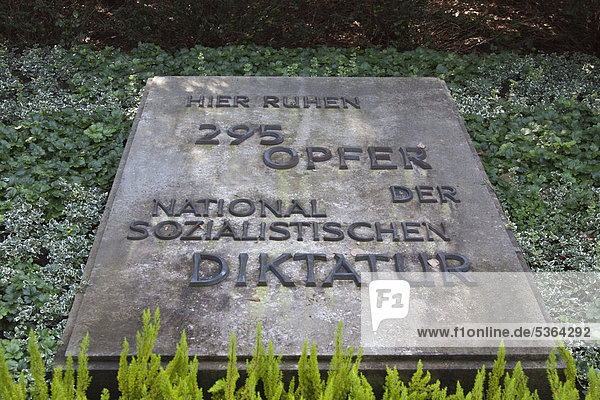 Denkmal für die Opfer der nationalsozialistischen Diktatur  Urnenfriedhof  Seestraße  Berlin  Deutschland  Europa