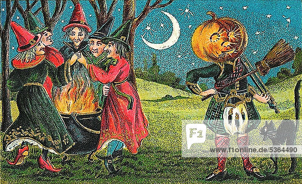 Hexen an einem Kessel mit Feuer  Kürbisfigur spielt mit einem Besen Geige  schwarze Katze  Halloween  Illustration