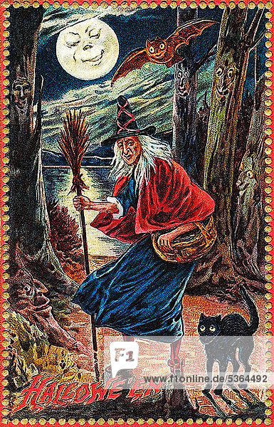 Hexe  schwarze Katze  Nacht  Mond mit Gesicht  Fledermaus  Bäume mit Gesichtern  gruselig  Halloween  Illustration
