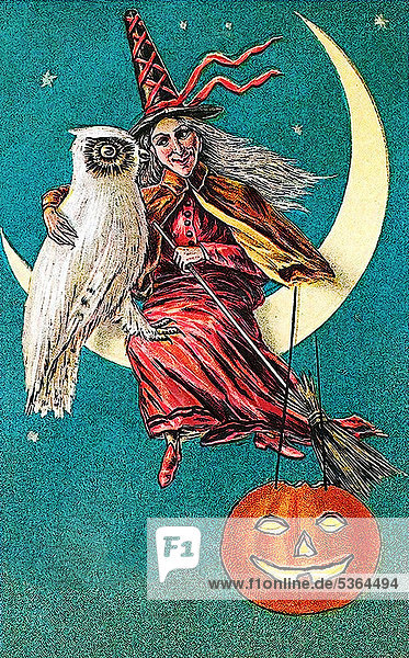 Hexe sitzt auf Mond  Kürbisgesicht  weiße Eule  Nacht  Halloween  Illustration