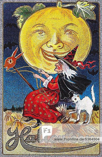 Hexe auf einem Besen mit weißer Katze  Mond mit Gesicht  Halloween  Illustration