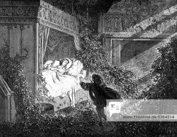 Dornröschen  Prinz findet schlafende Prinzessin in Zimmer voller Rosen  Illustration aus Perraults Märchen  von Charles Perrault  illustriert von Gustave Dore