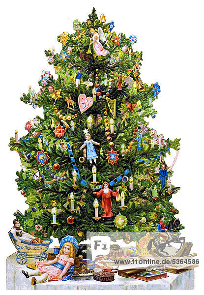 Decorated Christmas tree  historical illustration