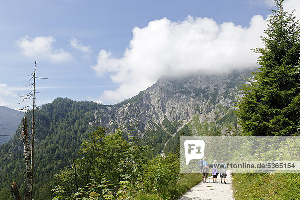 Hikers near Reiteralpe plateau  Berchtesgaden National Park  Berchtesgaden  Upper Bavaria  Bavaria  Germany  Europe