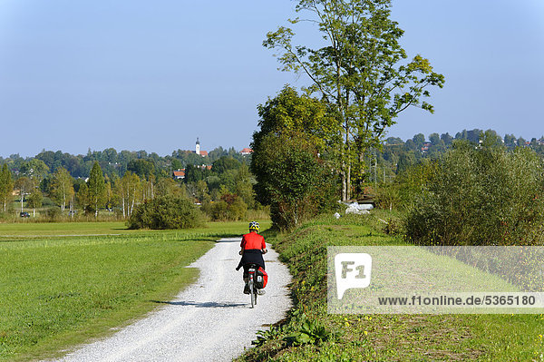 Cycling track along the Loisach River near Murnau  Murnauer Moos marshland  Upper Bavaria  Bavaria  Germany  Europe