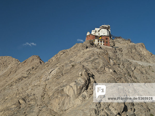 Kloster Namgyal Tsemo Gompa über Leh  Hauptstadt des ehemaligen Königreichs Ladakh  Leh  Jammu und Kashmir  Indien  Asien