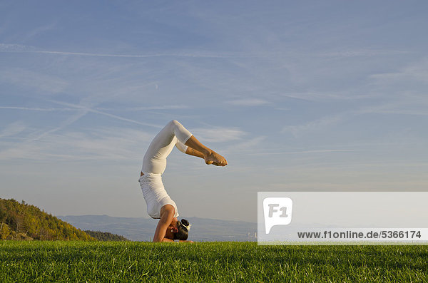 Junge Frau praktiziert Hatha-Yoga im Freien  zeigt die Stellung going to vrischikasana  Weg zum Skorpion  Nove Mesto  Okres Teplice  Tschechische Republik  Europa