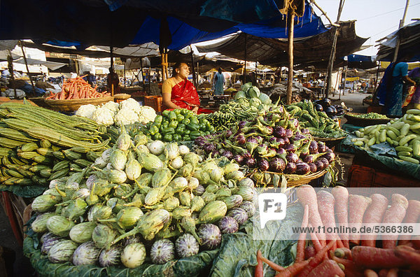 Frauen verkaufen Gemüse auf einem kleinen Markt an den Ufern des Flusses Godavari  Nasik  Maharashtra  Indien  Asien