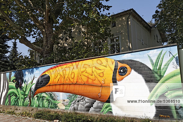 Riesentukan als Graffito an der Mauer des Kölner Zoos  Köln  Nordrhein-Westfalen  Deutschland  Europa