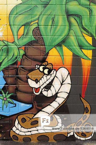 Comic-Schlange  Graffito an der Mauer des Kölner Zoos  Köln  Nordrhein-Westfalen  Deutschland  Europa