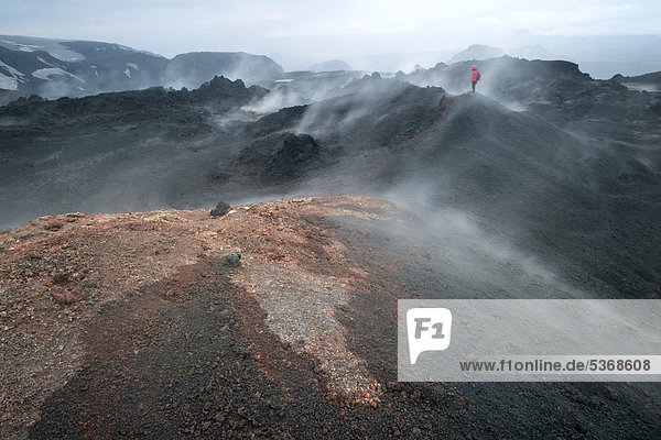 Hikers overlooking the steaming lava field formed during the eruption of a fissure vent in the Fimmvoer_uh·ls region in 2010  Fimmvoer_uh·ls hiking route  _Ûrsmoerk  Iceland  Europe