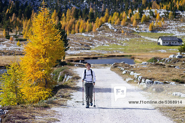 Wanderin im Naturpark Fanes - Sennes im Hochpustertal oberhalb von Pederü  Dolomiten  hinten die Lavarellahütte  Südtirol  Italien  Europa