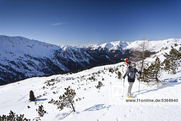 Snowshoe hikers while climbing Pfattenspitz Mountain above Durnholz  overlooking the Sarn Valley  Alto Adige  Italy  Europe
