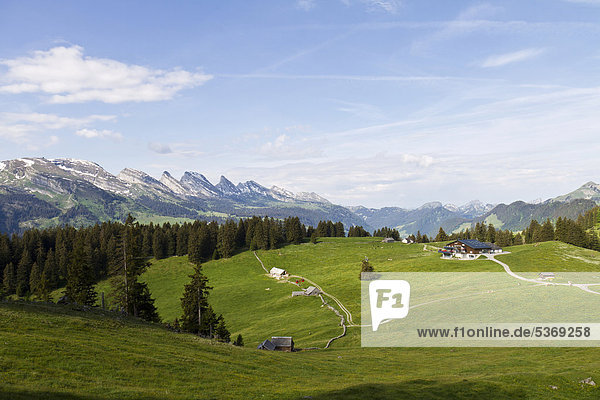 Gampluet alp with view of the Churfirsten mountains  Alpsteingebirge mountains  Canton St. Gallen  Switzerland  Europe