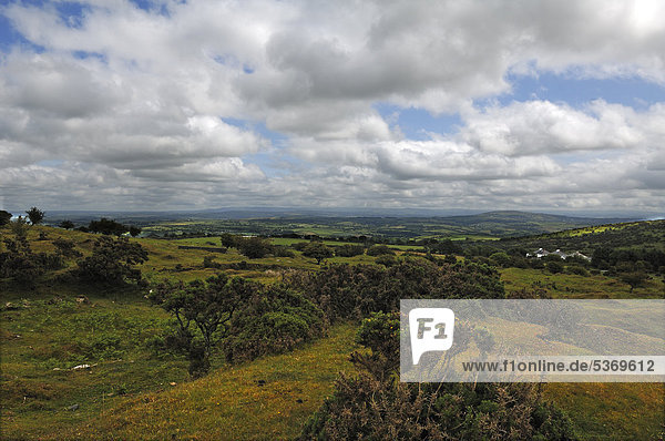 Landschaft in Dartmoor bei Minions  Dartmoor  Cornwall  England  Großbritannien  Europa