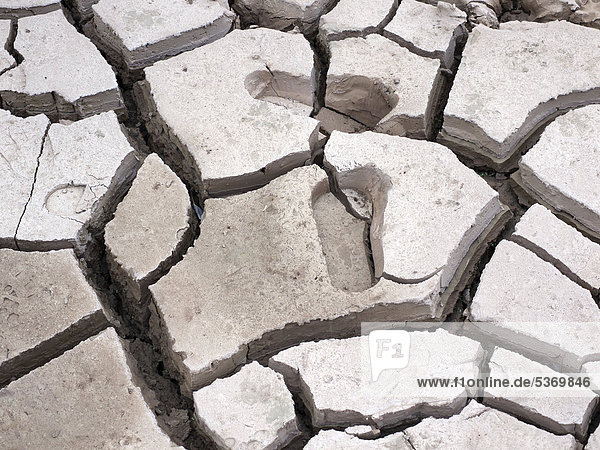Footprints in dried  cracked clay  Ait Benhaddou  Morocco  North Africa  Africa