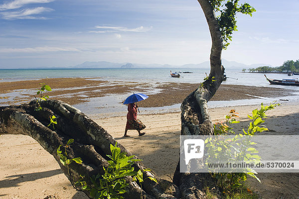Woman walking on the beach at low tide  Ko Muk or Ko Mook island  Thailand  Southeast Asia