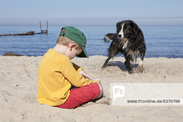 Kleiner Junge liest am Strand  Hund schaut zu  Kühlungsborn-West  Mecklenburg-Vorpommern  Deutschland  Europa