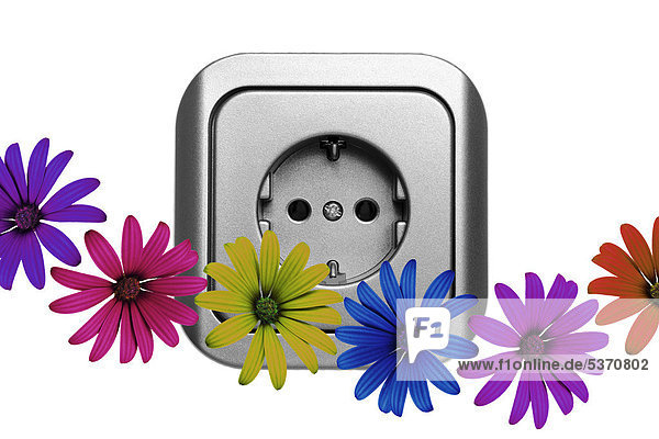 Illustration  Steckdose und Blüten