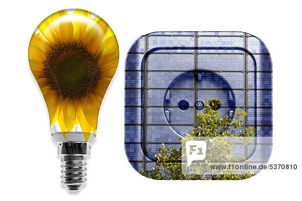 Illustration  Steckdose und Glühbirne  Symbolbild Solarstrom