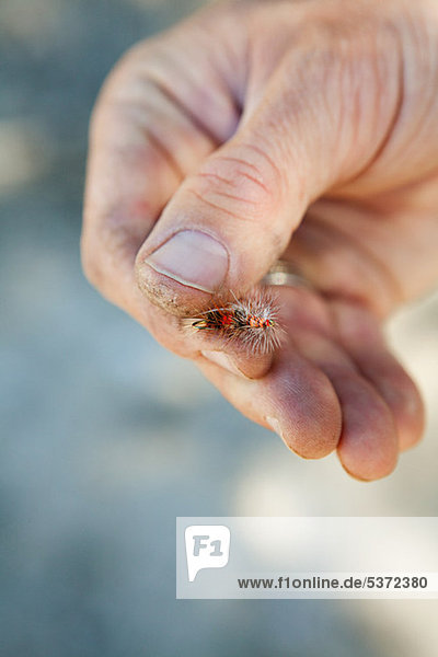 Man holding imitation fly for fishing  Colorado  USA