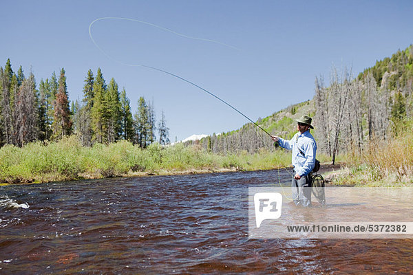 Man fly fishing in river  Colorado  USA