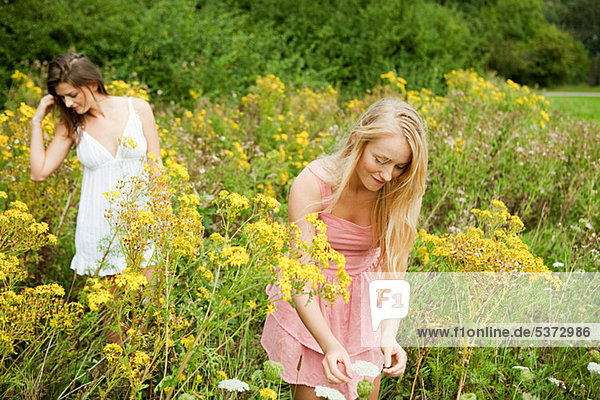 Young women picking flowers in countryside
