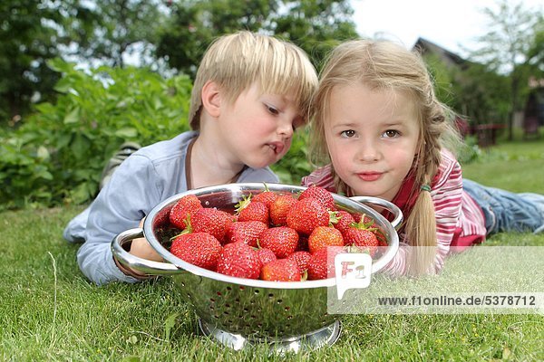 Junge und Mädchen mit Erdbeeren in einem Sieb
