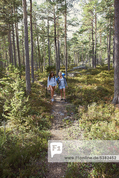 Women hiking in forest together