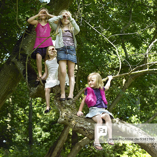 Girls playing with telescopes in tree