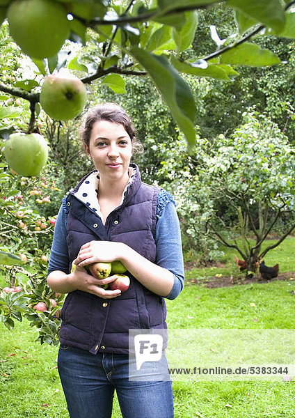 Frau Obstgarten Apfel aufheben